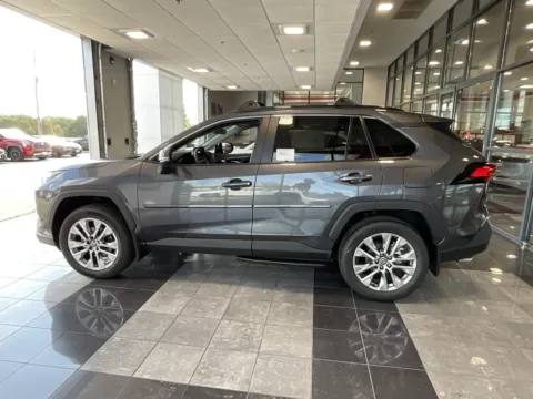 More photos of 2025 Toyota RAV4 XLE Premium at Jay Wolfe Toyota, MO