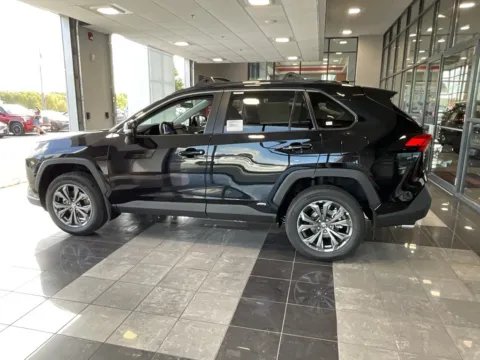 More photos of 2025 Toyota RAV4 Hybrid XLE Premium at Jay Wolfe Toyota, MO