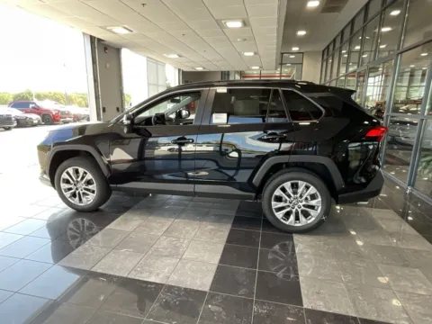 More photos of 2025 Toyota RAV4 XLE Premium at Jay Wolfe Toyota, MO
