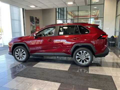 More photos of 2025 Toyota RAV4 XLE Premium at Jay Wolfe Toyota, MO