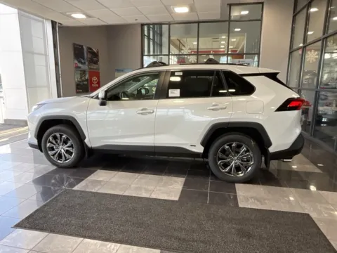 More photos of 2025 Toyota RAV4 Hybrid XLE Premium at Jay Wolfe Toyota, MO