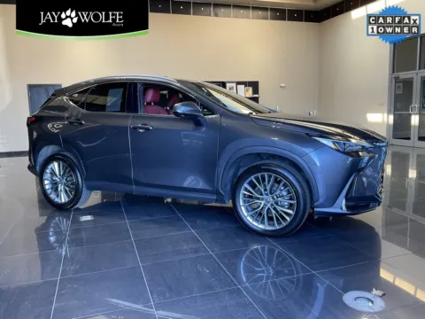 Gray 2023 Lexus NX 350 Premium for sale in Kansas City, MO