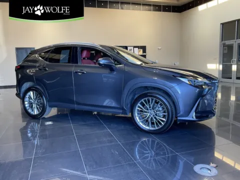 Gray 2023 Lexus NX 350 Premium for sale in Kansas City, MO