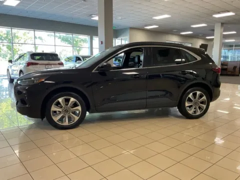 More photos of 2025 Ford Escape Platinum at Acura of Overland Park, KS