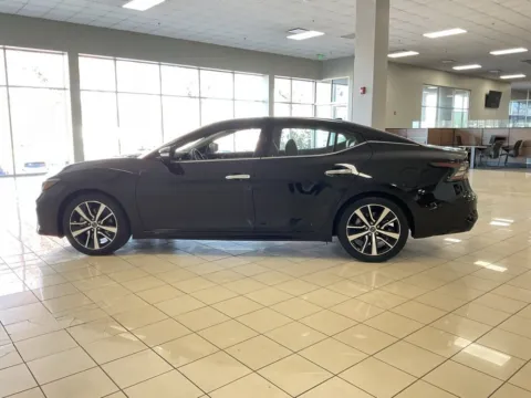 More photos of 2023 Nissan Maxima SV at Acura of Overland Park, KS