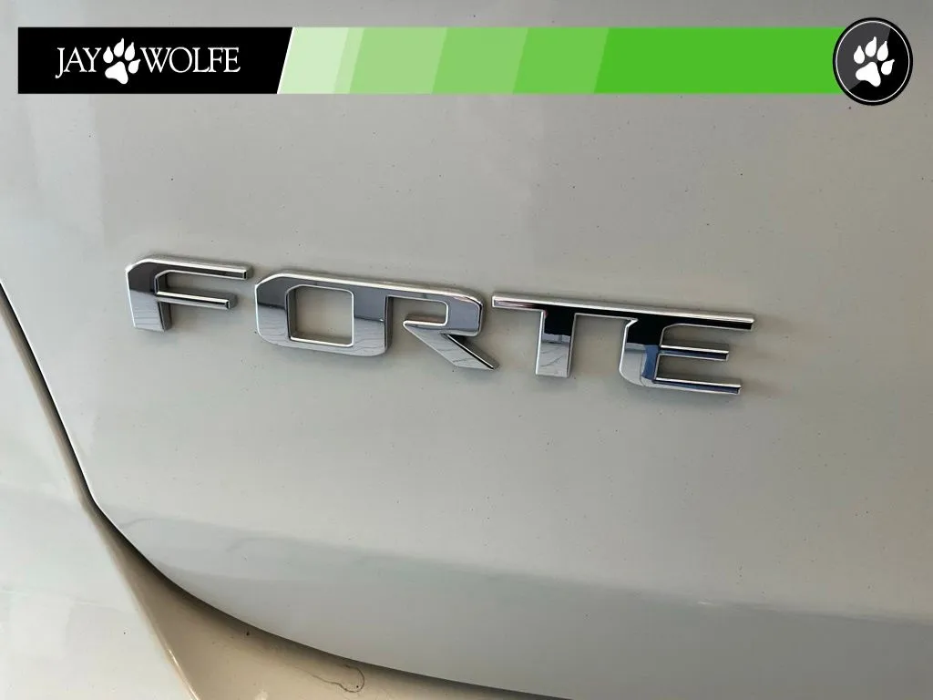 Kia Forte photo 20