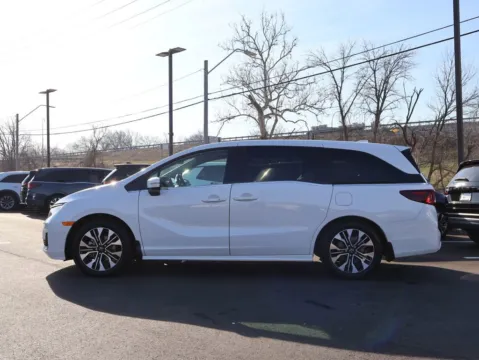 More photos of 2026 Honda Odyssey Elite at Jay Wolfe Honda, MO