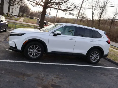More photos of 2024 Honda CR-V EX-L at Jay Wolfe Honda, MO