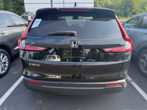 More photos of 2024 Honda CR-V EX at Jay Wolfe Honda, MO