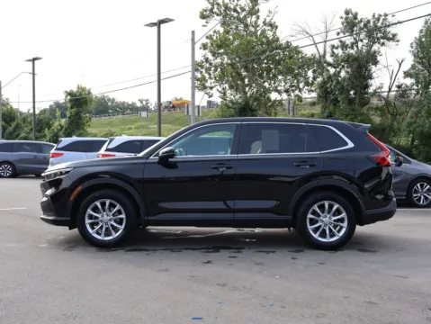 More photos of 2024 Honda CR-V EX at Jay Wolfe Honda, MO
