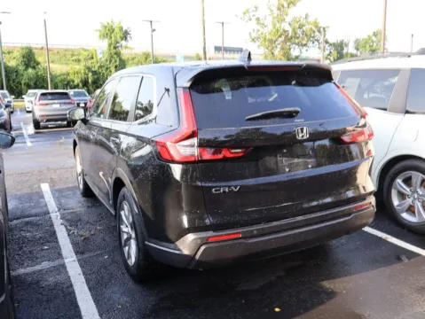 More photos of 2024 Honda CR-V EX-L at Jay Wolfe Honda, MO