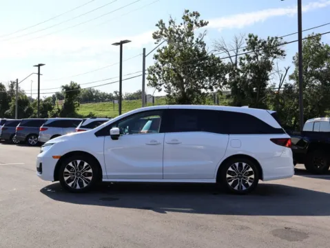 More photos of 2026 Honda Odyssey Elite at Jay Wolfe Honda, MO