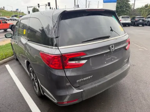 More photos of 2024 Honda Odyssey Elite at Jay Wolfe Honda, MO