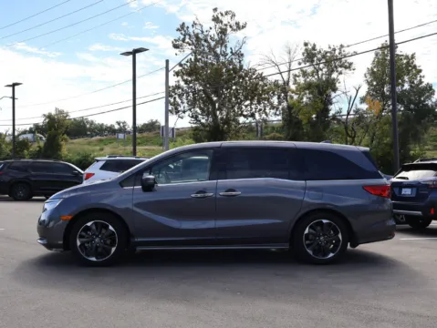 More photos of 2024 Honda Odyssey Elite at Jay Wolfe Honda, MO