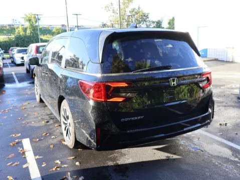 More photos of 2025 Honda Odyssey EX-L at Jay Wolfe Honda, MO