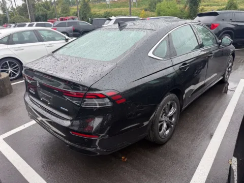More photos of 2024 Honda Accord Hybrid EX-L at Jay Wolfe Honda, MO