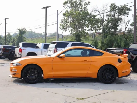 More photos of 2019 Ford Mustang EcoBoost at Jay Wolfe Honda, MO
