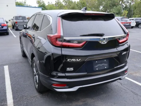 More photos of 2020 Honda CR-V EX-L at Jay Wolfe Honda, MO