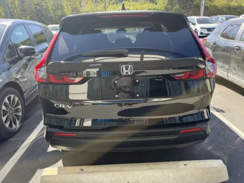 More photos of 2024 Honda CR-V EX at Jay Wolfe Honda, MO