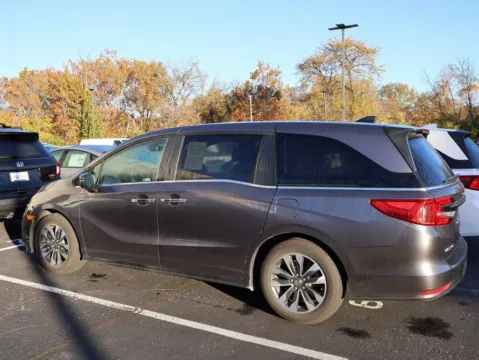 More photos of 2024 Honda Odyssey EX-L at Jay Wolfe Honda, MO