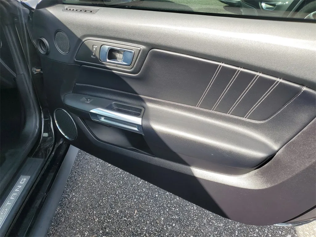 2019 Ford Mustang GT Premium photo 4