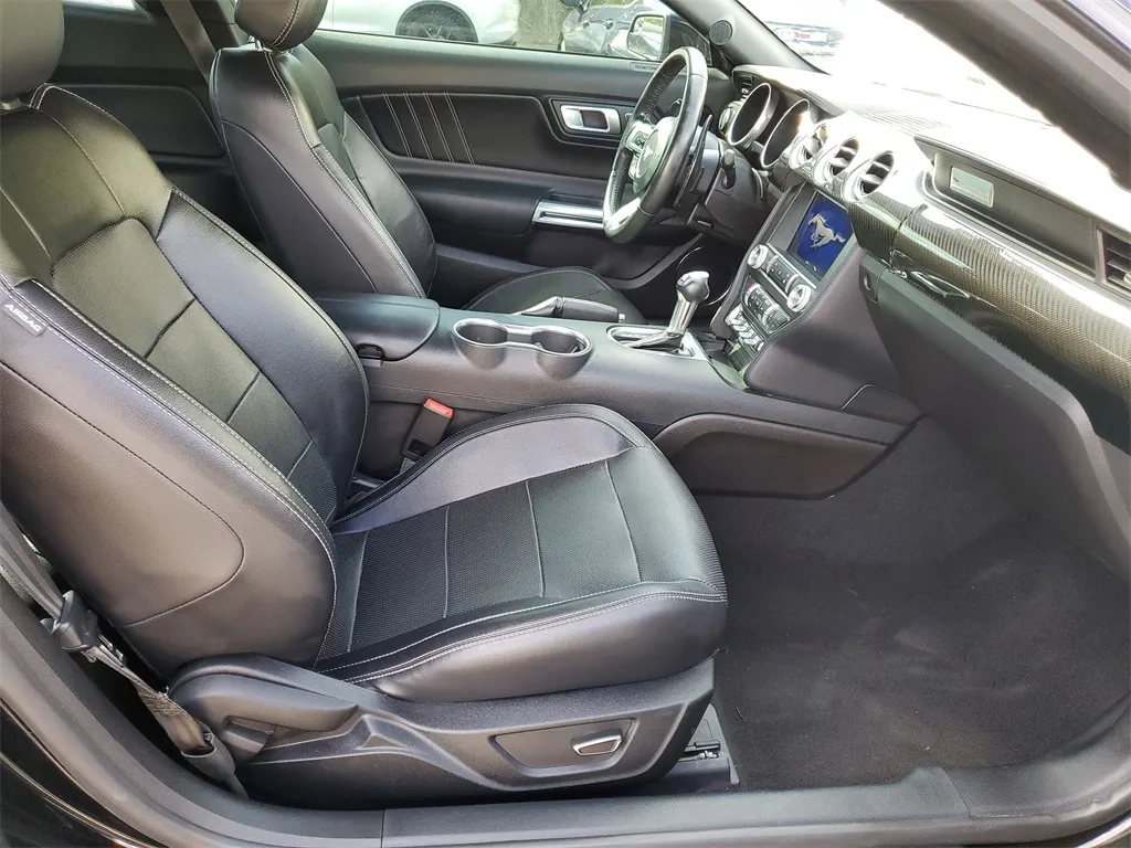 2019 Ford Mustang GT Premium photo 3