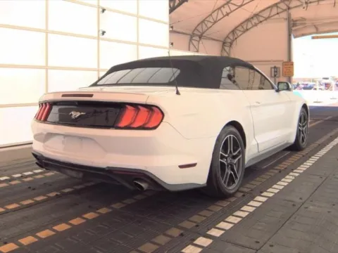 Photos of 2019 Ford Mustang EcoBoost Premium for sale in Jacksonville, FL at Gravity Autos Jacksonville