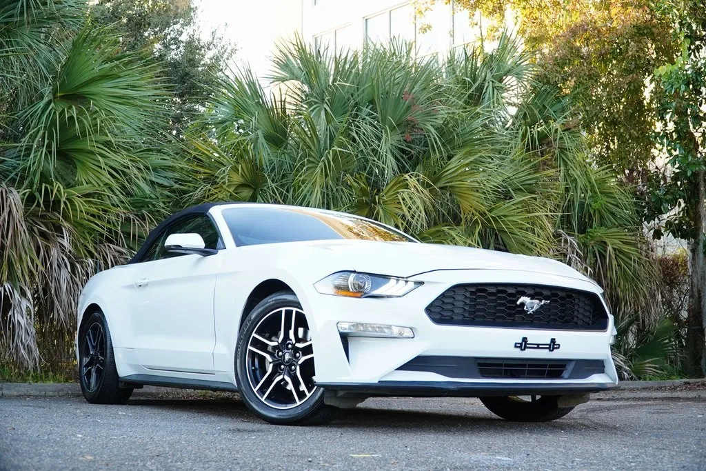 2019 Ford Mustang EcoBoost Premium photo 3