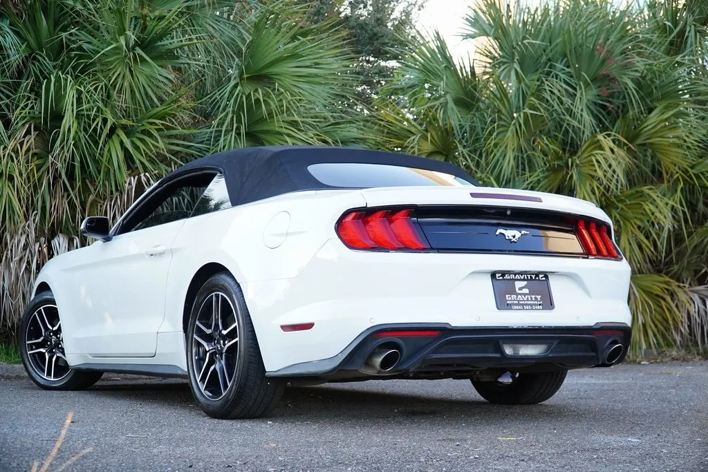 2019 Ford Mustang EcoBoost Premium photo 2