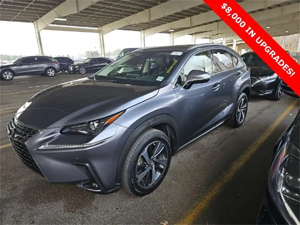 Gray 2020 Lexus NX 300 Base for sale in Jacksonville, FL