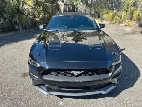 More photos of 2021 Ford Mustang EcoBoost Premium at Gravity Autos Jacksonville, FL