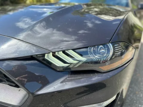 More photos of 2022 Ford Mustang EcoBoost at Gravity Autos Jacksonville, FL