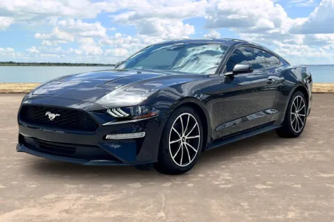 Gray 2022 Ford Mustang EcoBoost for sale in Jacksonville, FL