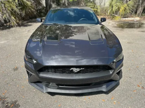 More photos of 2022 Ford Mustang EcoBoost at Gravity Autos Jacksonville, FL