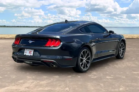 More photos of 2022 Ford Mustang EcoBoost at Gravity Autos Jacksonville, FL