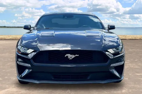 Photos of 2022 Ford Mustang EcoBoost for sale in Jacksonville, FL at Gravity Autos Jacksonville
