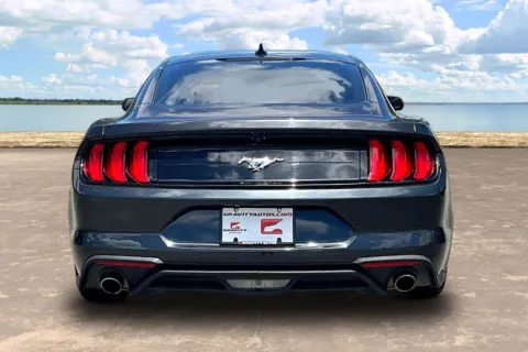 More photos of 2022 Ford Mustang EcoBoost at Gravity Autos Jacksonville, FL
