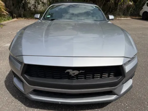 More photos of 2024 Ford Mustang EcoBoost Premium at Gravity Autos Jacksonville, FL