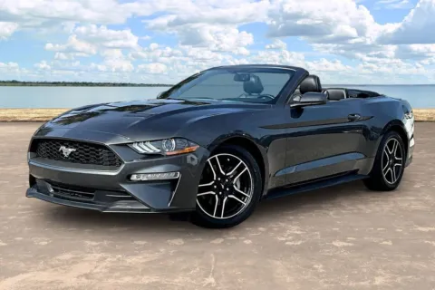 Gray 2019 Ford Mustang EcoBoost Premium for sale in Jacksonville, FL