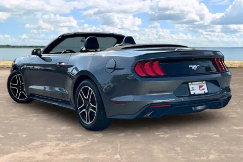 More photos of 2019 Ford Mustang EcoBoost Premium at Gravity Autos Jacksonville, FL