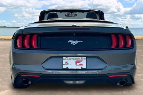 More photos of 2019 Ford Mustang EcoBoost Premium at Gravity Autos Jacksonville, FL