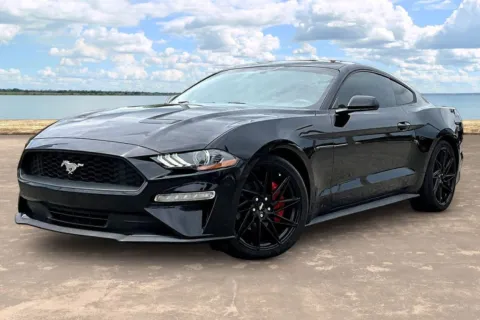 Black 2019 Ford Mustang EcoBoost for sale in Jacksonville, FL
