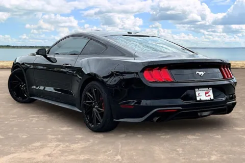 More photos of 2019 Ford Mustang EcoBoost at Gravity Autos Jacksonville, FL