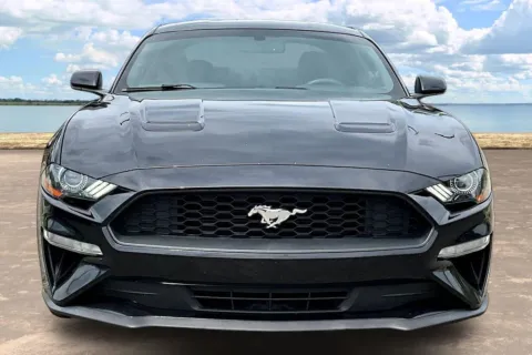 Photos of 2019 Ford Mustang EcoBoost for sale in Jacksonville, FL at Gravity Autos Jacksonville