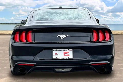 More photos of 2019 Ford Mustang EcoBoost at Gravity Autos Jacksonville, FL