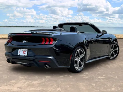 More photos of 2024 Ford Mustang EcoBoost Premium at Gravity Autos Jacksonville, FL