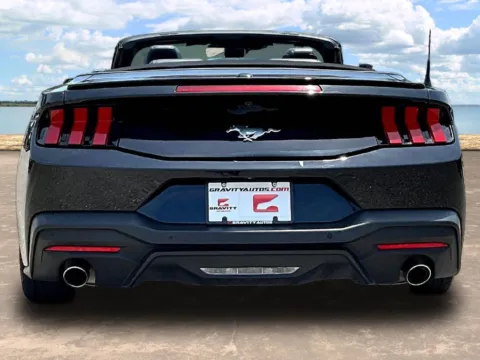 More photos of 2024 Ford Mustang EcoBoost Premium at Gravity Autos Jacksonville, FL