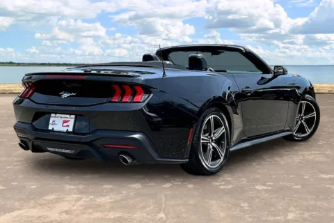 More photos of 2024 Ford Mustang EcoBoost Premium at Gravity Autos Jacksonville, FL