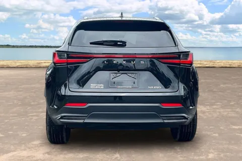 More photos of 2024 Lexus NX 250 Premium at Gravity Autos Jacksonville, FL