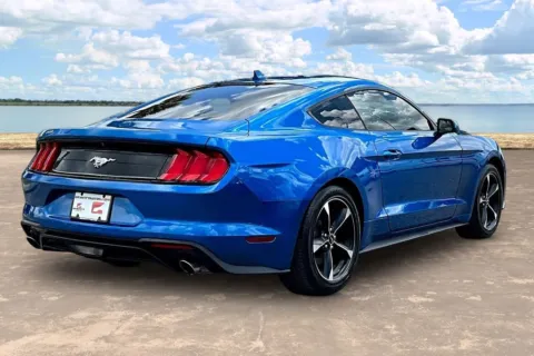 More photos of 2020 Ford Mustang EcoBoost at Gravity Autos Jacksonville, FL